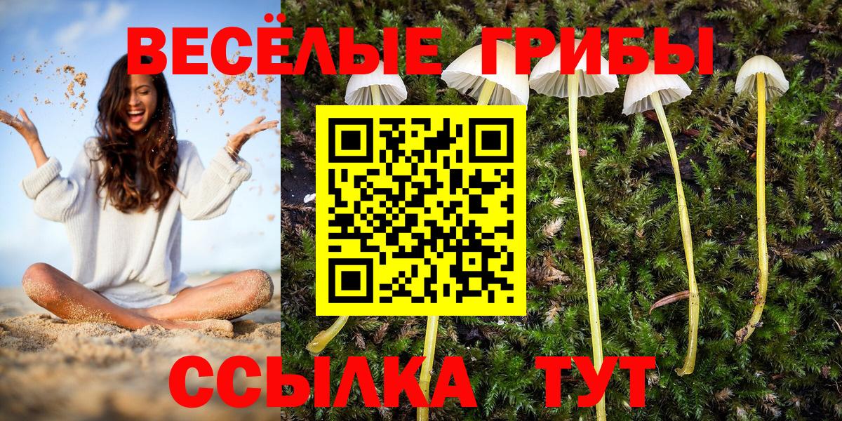Галлюциногенные грибы прущие грибы  Вход с VPN  Батайск 