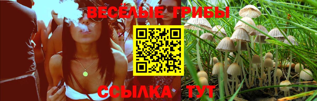 Псилоцибиновые грибы мицелий Батайск